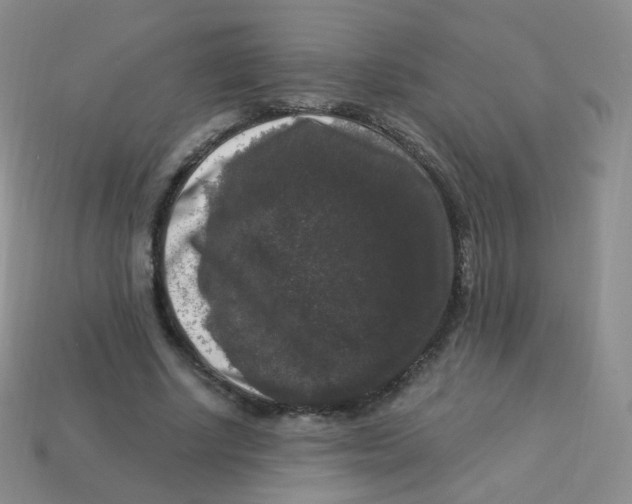 X0000113270634200910081401