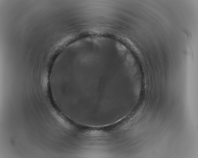 X0000113270637200910081401