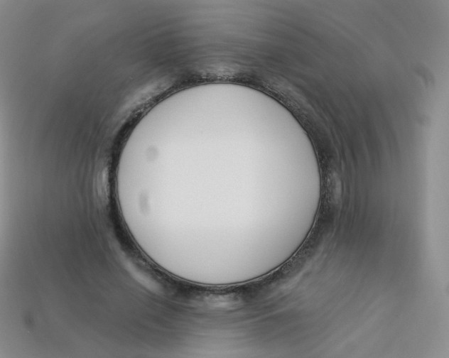 X0000113270638200910081401