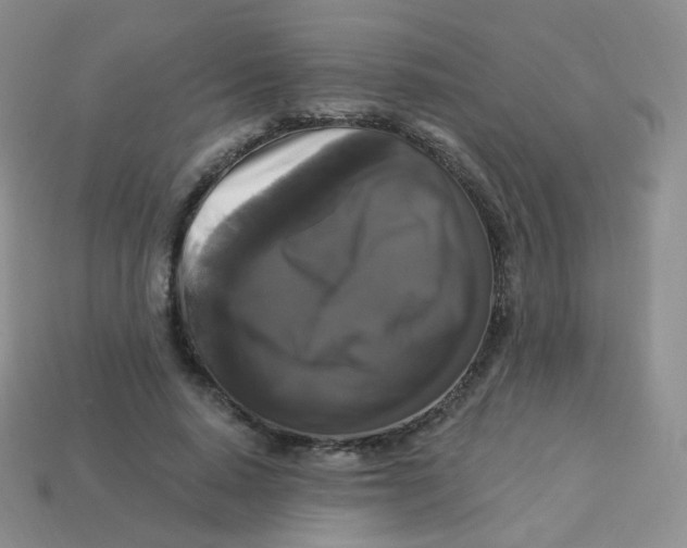 X0000113270640200910081401