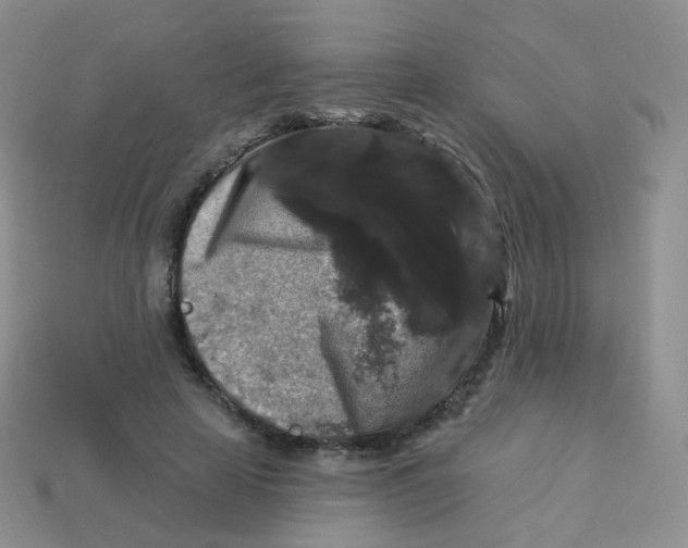 X0000113270641200910081401