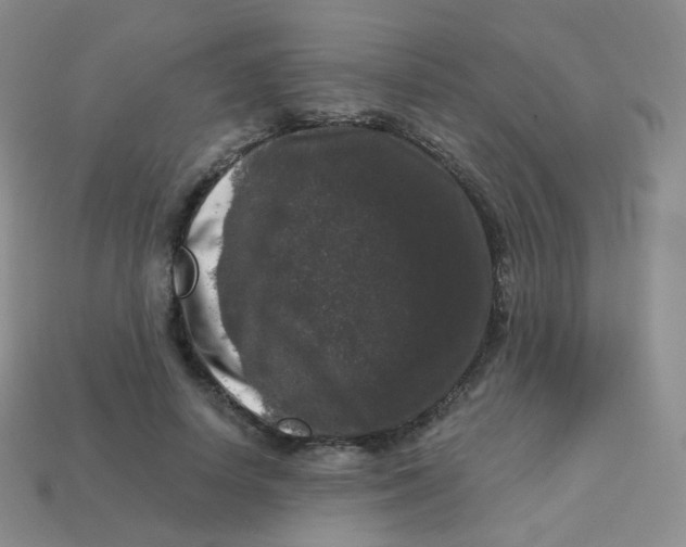 X0000113270642200910081401