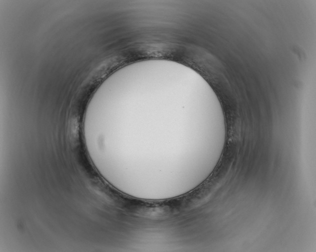 X0000113270646200910081401