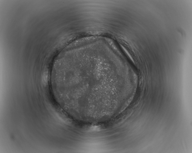 X0000113270647200910081401