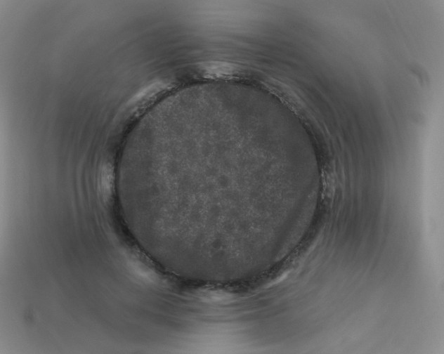 X0000113270648200910081401