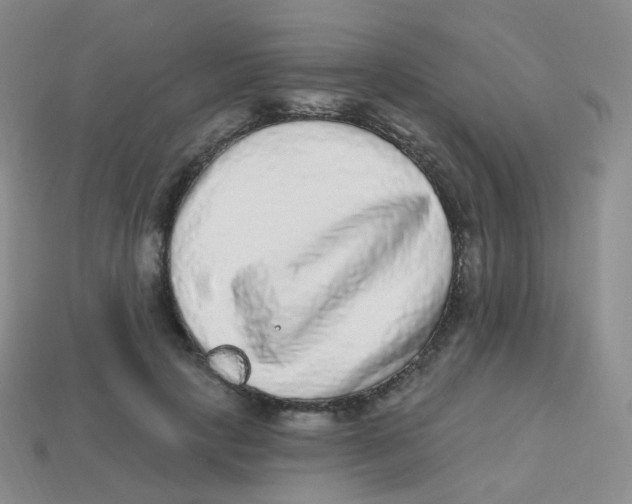 X0000113270649200910081401