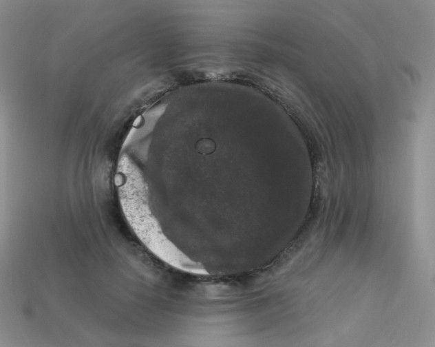 X0000113270650200910081401