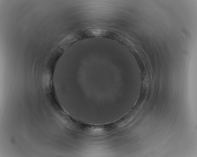 X0000113270651200910081401