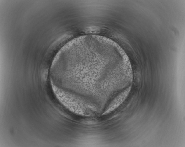 X0000113270652200910081401