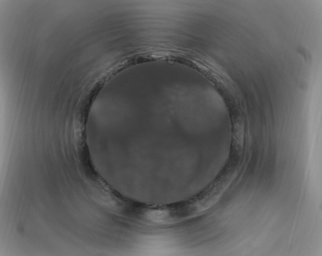 X0000113270653200910081401