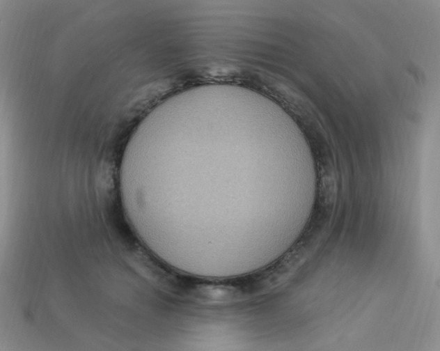 X0000113270654200910081401