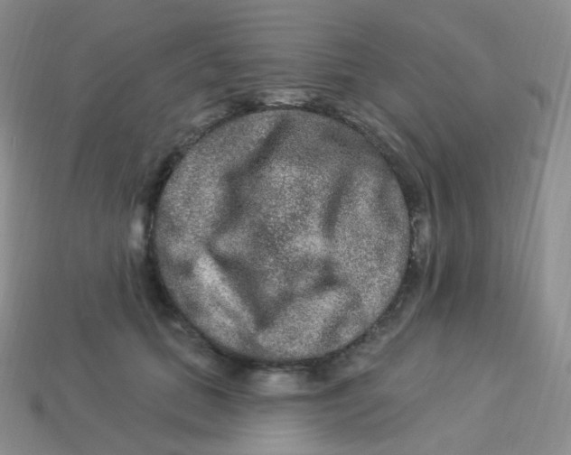 X0000113270655200910081401