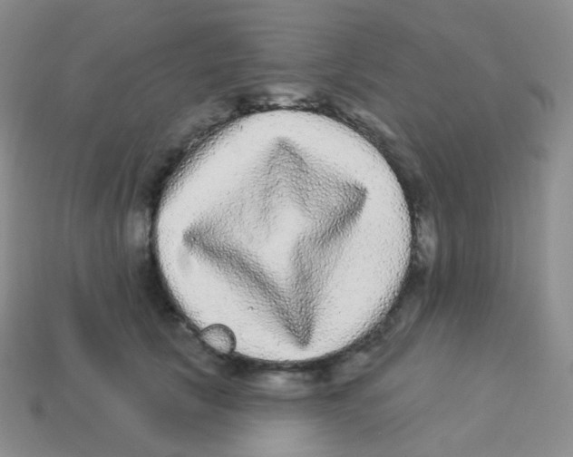 X0000113270657200910081401