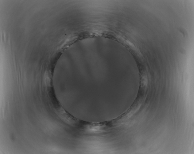 X0000113270661200910081401