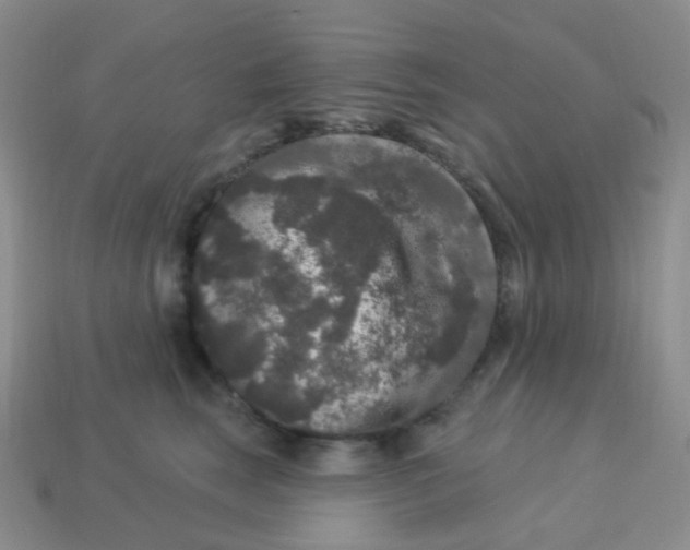 X0000113270663200910081401