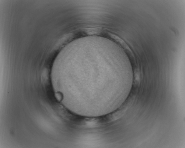 X0000113270667200910081402