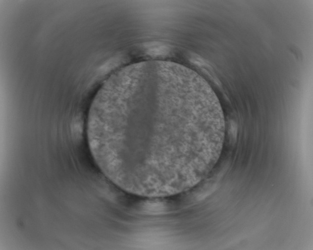 X0000113270668200910081402