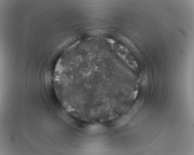 X0000113270669200910081402