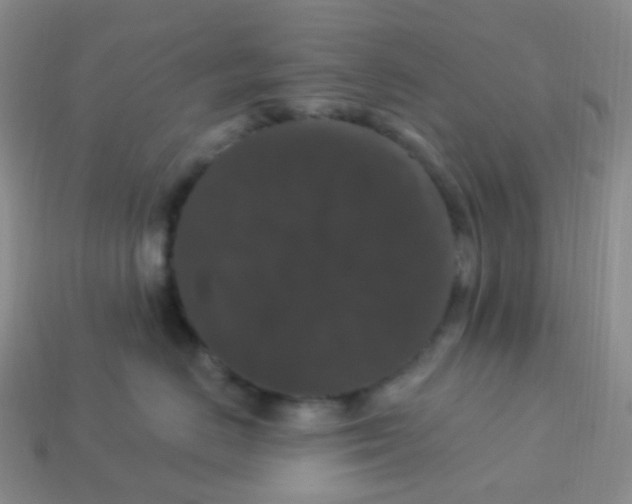 X0000113270670200910081402