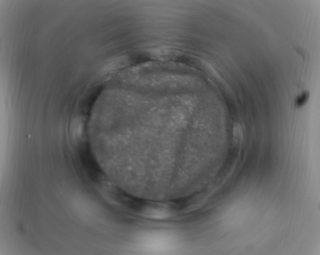 X0000113270671200910081402