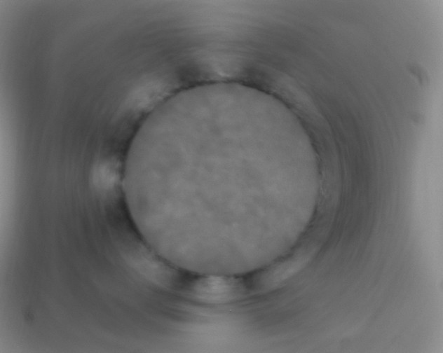 X0000113270672200910081402