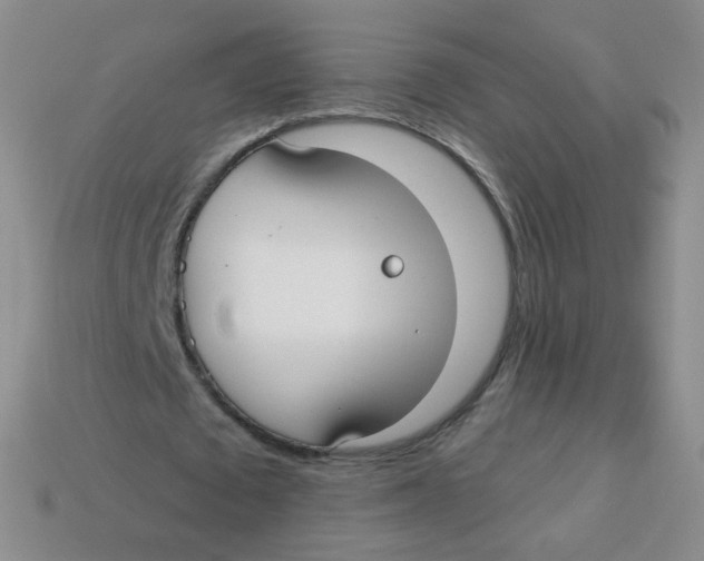 X0000113270673200910081401