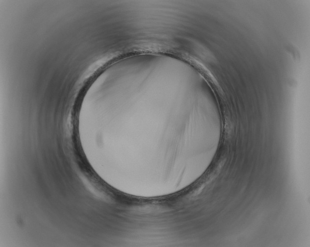 X0000113270674200910081401