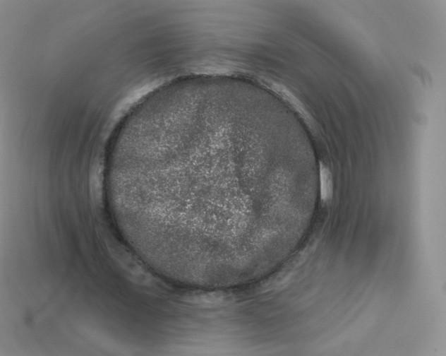 X0000113270675200910081401