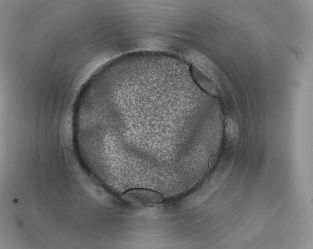 X0000113270676200910081401