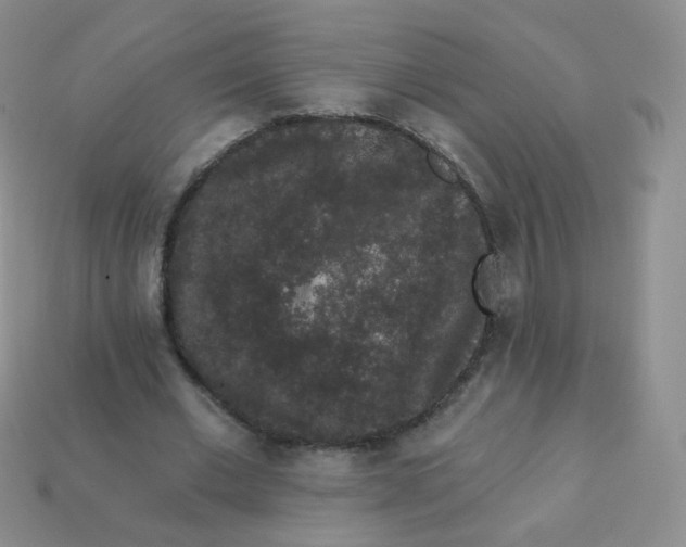 X0000113270677200910081401