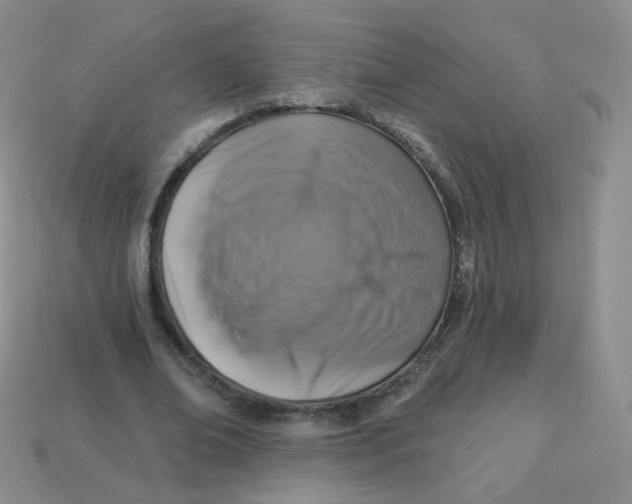 X0000113270678200910081401