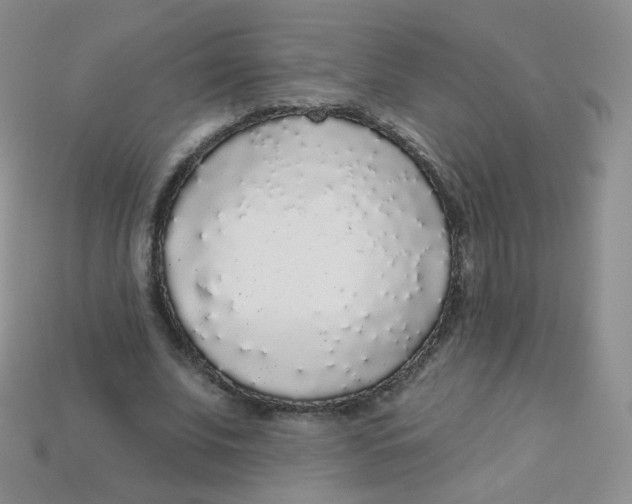 X0000113270679200910081401