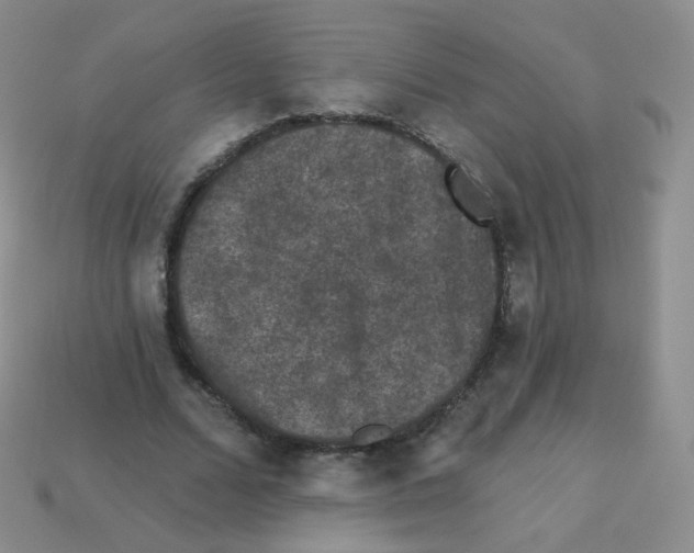 X0000113270680200910081401