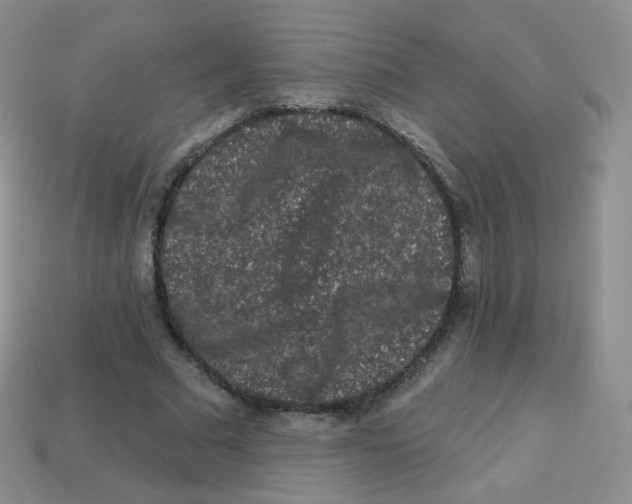 X0000113270681200910081401