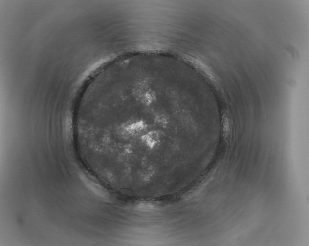 X0000113270684200910081401