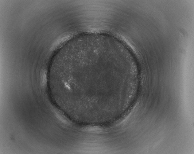 X0000113270685200910081401