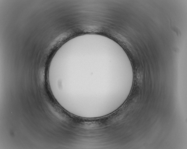 X0000113270686200910081401