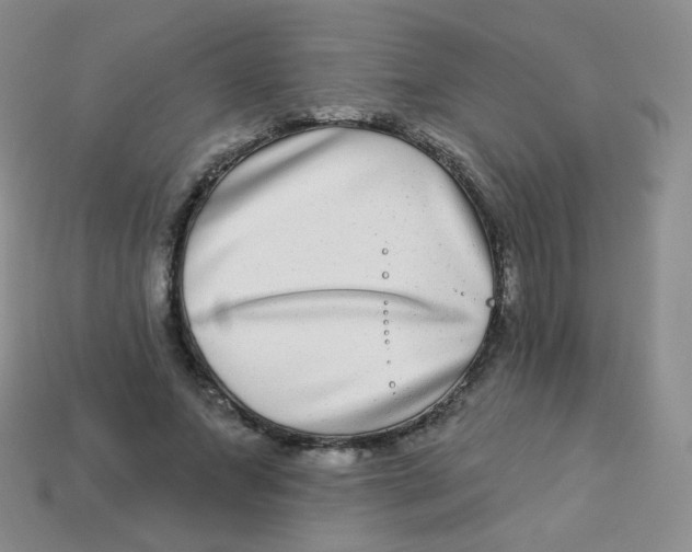 X0000113270687200910081401