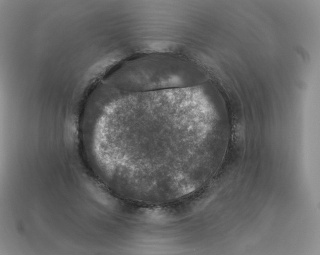 X0000113270688200910081401