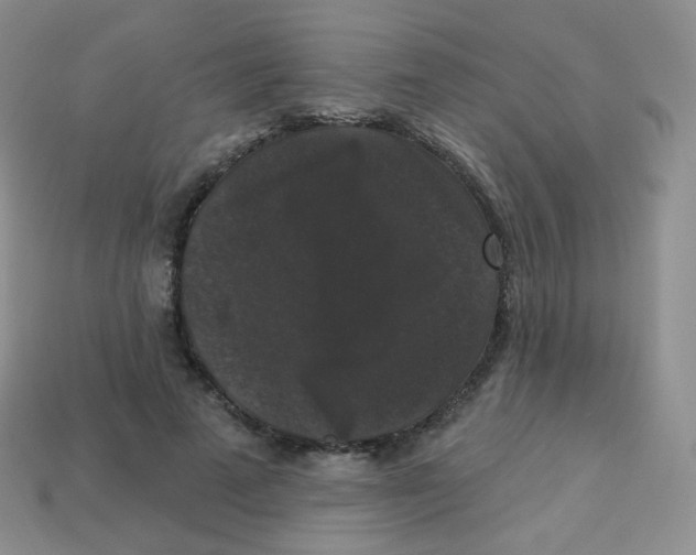 X0000113270689200910081401