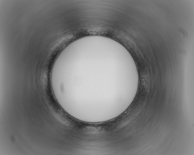 X0000113270690200910081401