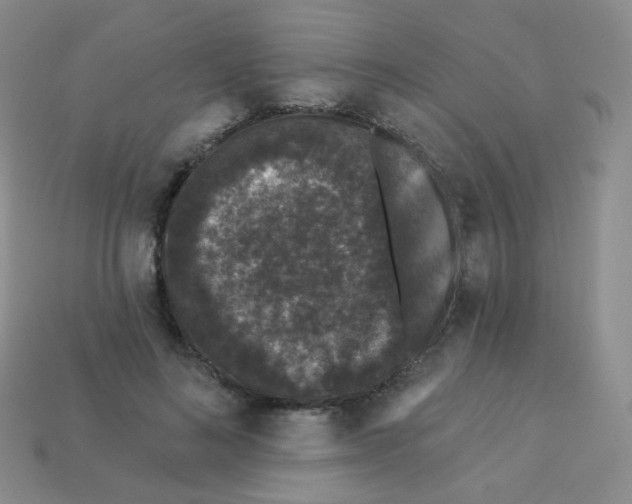 X0000113270692200910081401