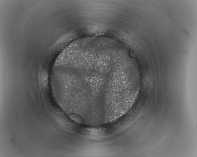 X0000113270693200910081401