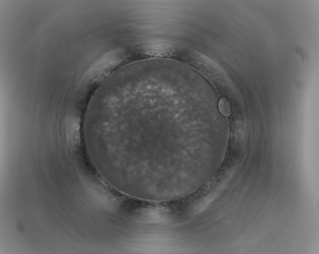 X0000113270696200910081401