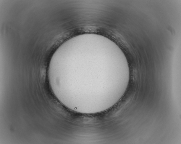 X0000113270697200910081401