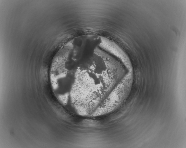 X0000113270699200910081401