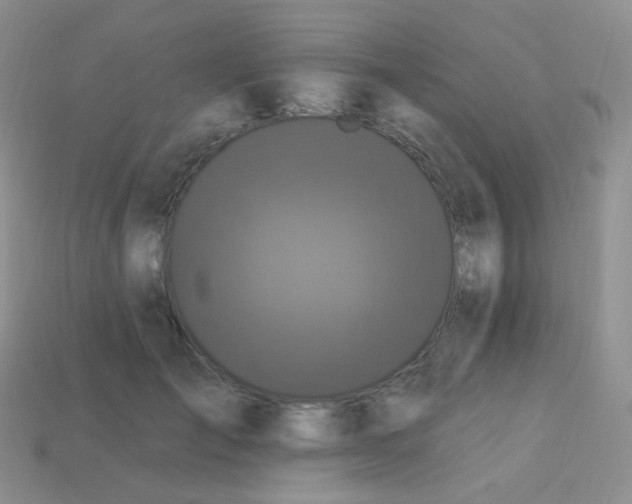 X0000113270701200910081400