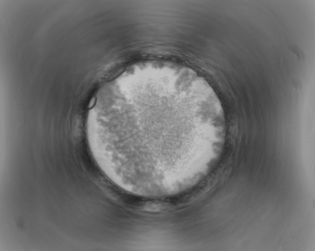 X0000113270708200910081400