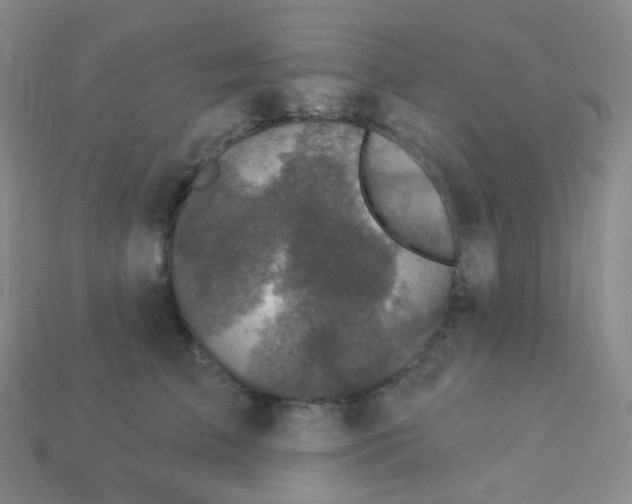 X0000113270709200910081400