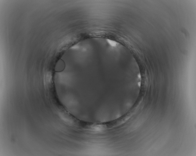 X0000113270711200910081400